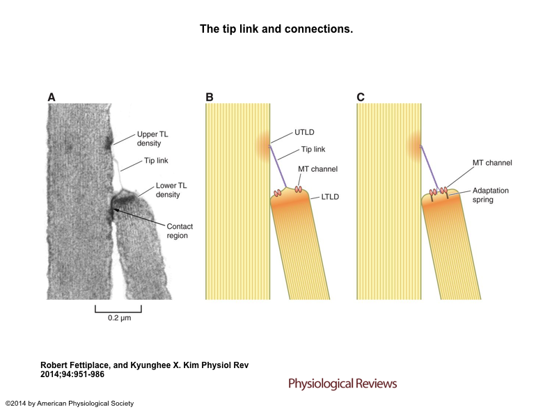 Loudness In Cinema DCPs - Hair to Hair Transfer